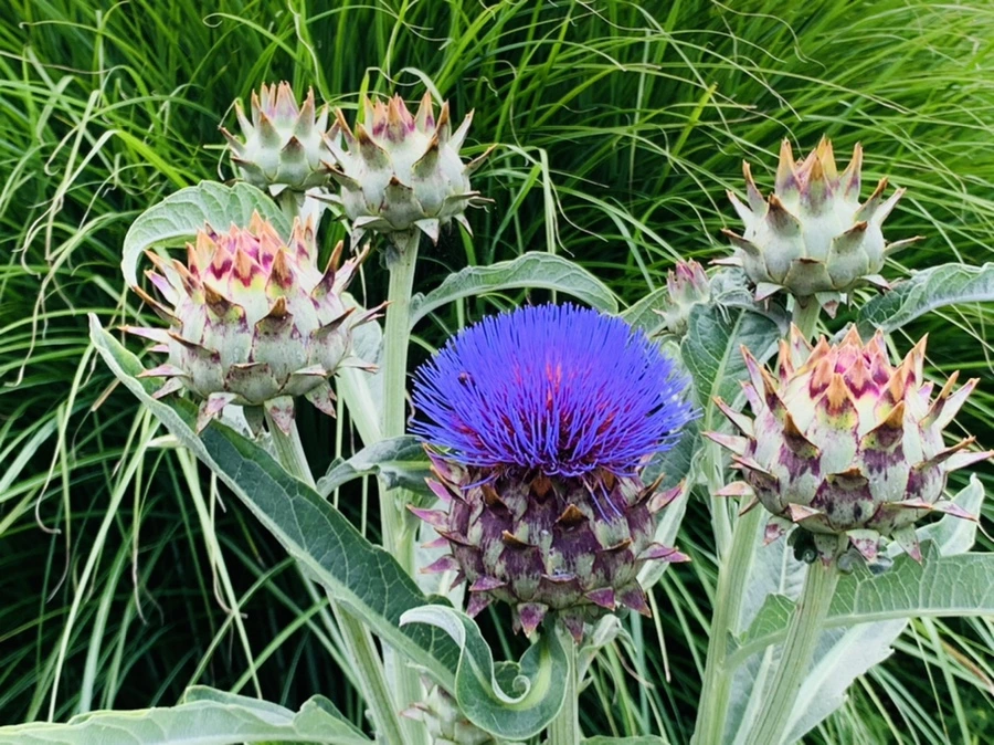 IMG_9422.jpg?type=w966