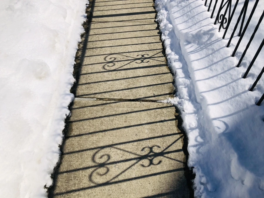 IMG_3931.jpg?type=w966