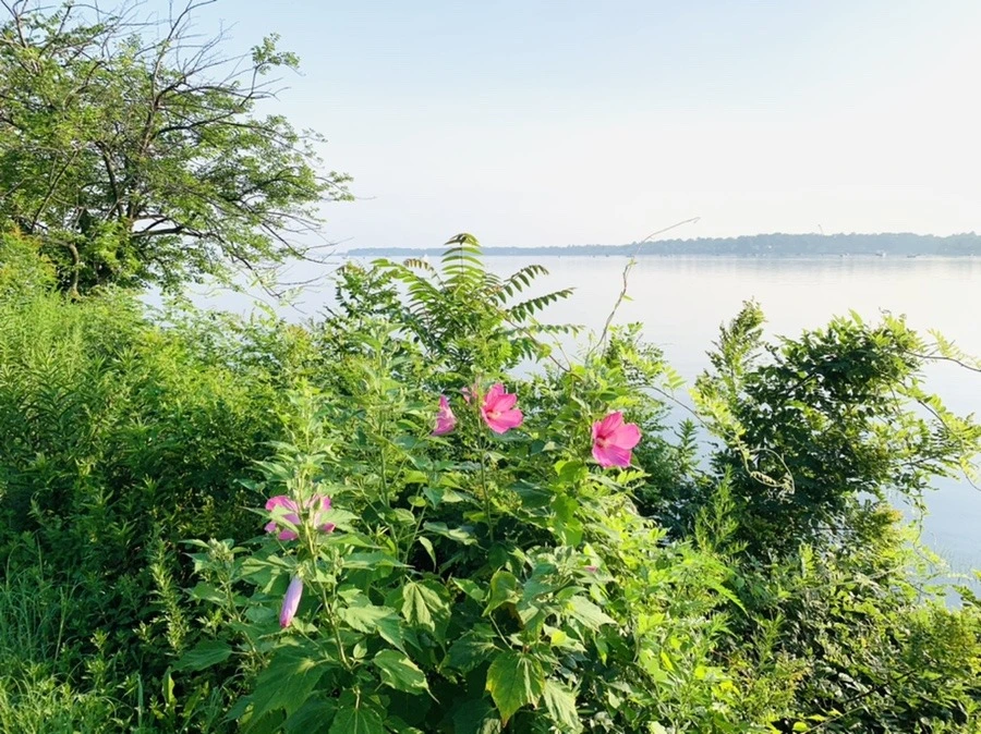 eGKsYxGQRIZvv4VwzCYre5pzKlo