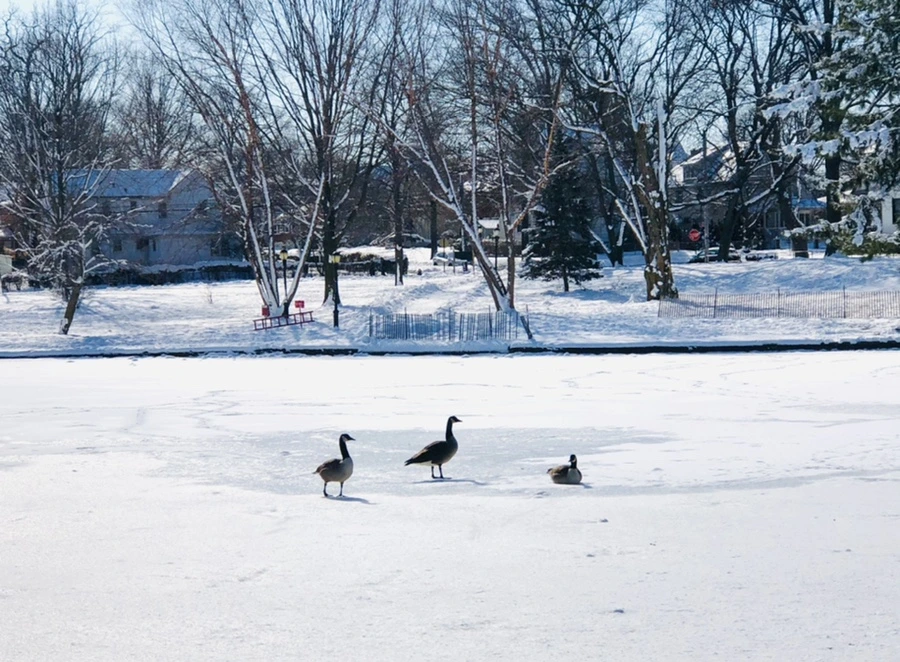 IMG_1337.jpg?type=w966