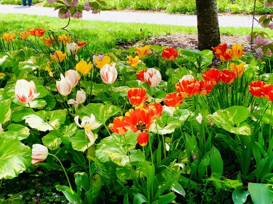 IMG_6867.jpg?type=w966