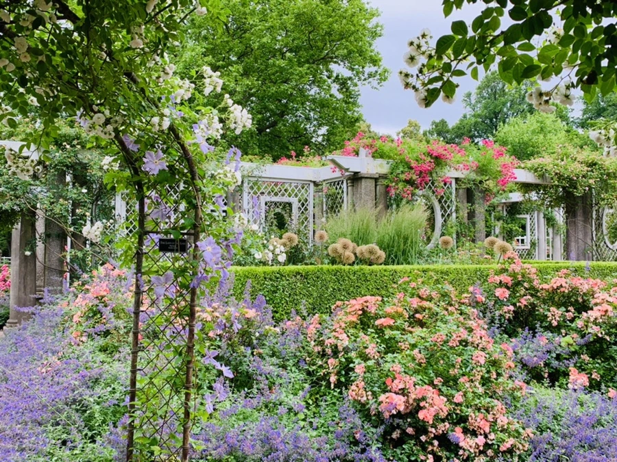 IMG_2764.jpg?type=w966