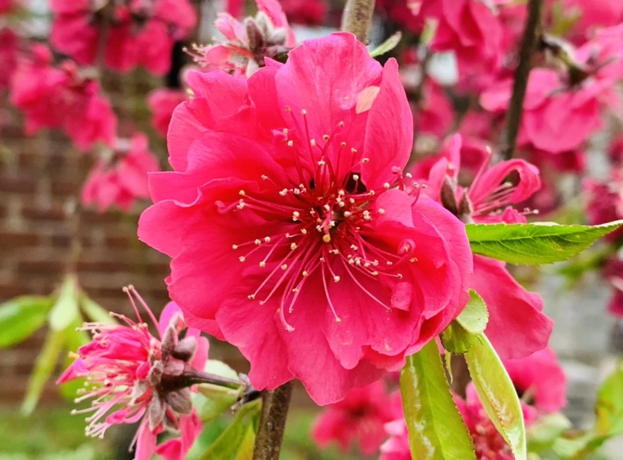 IMG_7923.jpg?type=w966