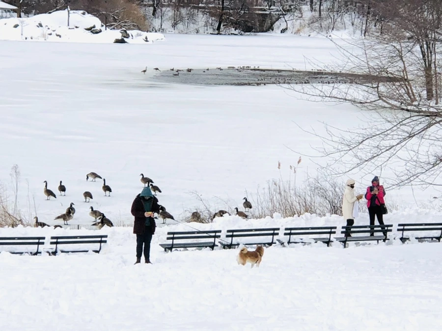 IMG_9501.jpg?type=w966