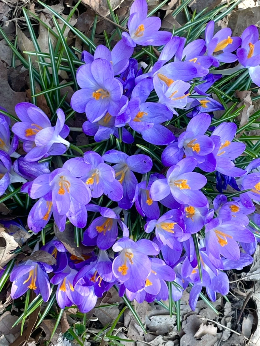 IMG_5500.jpg?type=w966