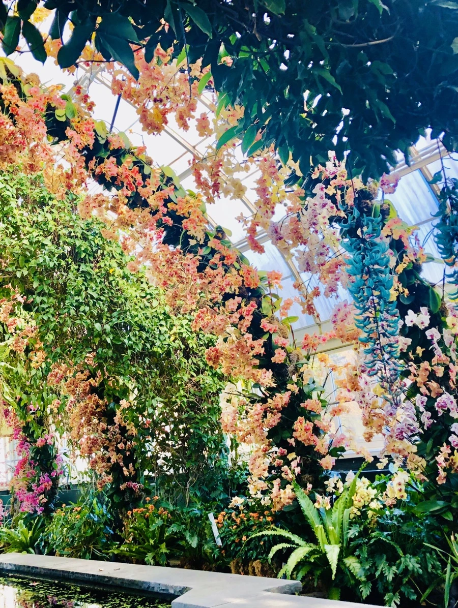 IMG_6269.jpg?type=w966