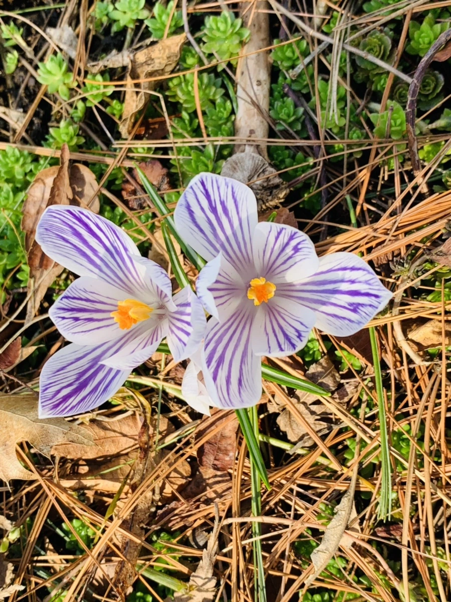 IMG_4376.jpg?type=w966