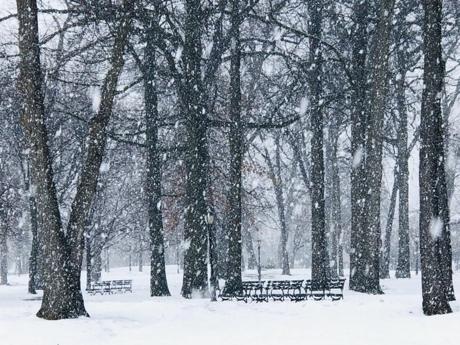 TuB-Bd3AJV4CLFog_UxC4tm0CHI