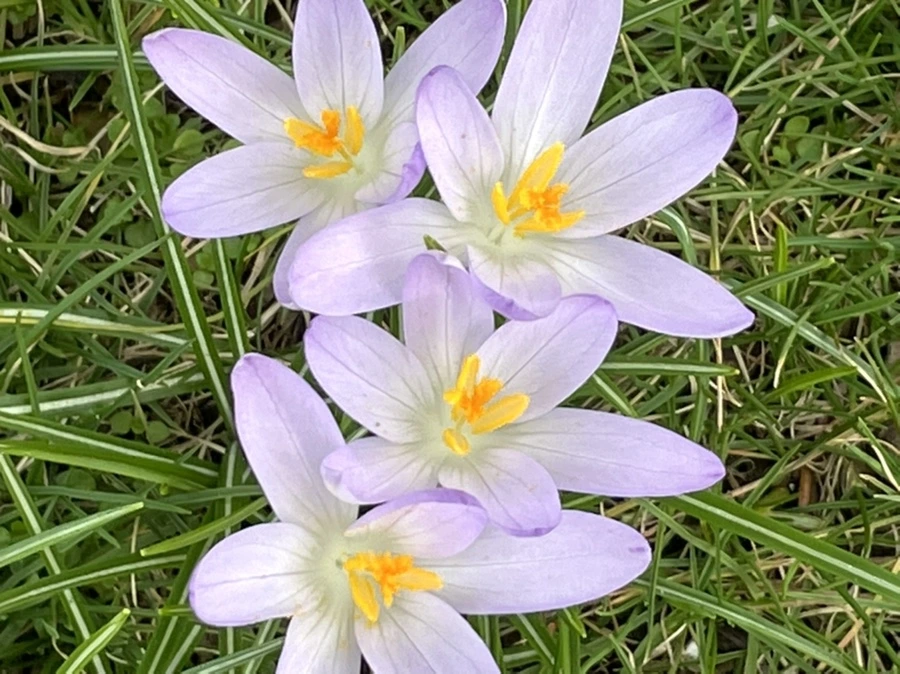 IMG_4074.jpg?type=w966