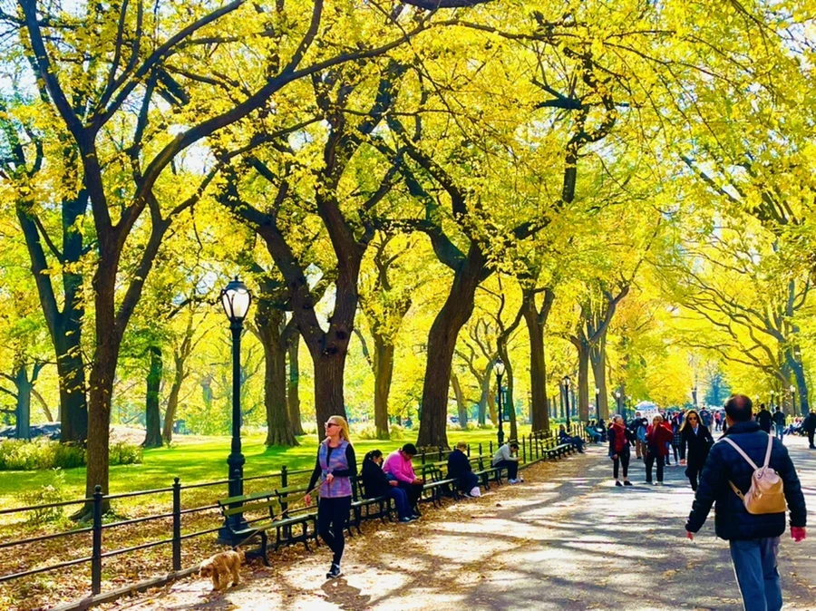 IMG_1582.jpg?type=w966