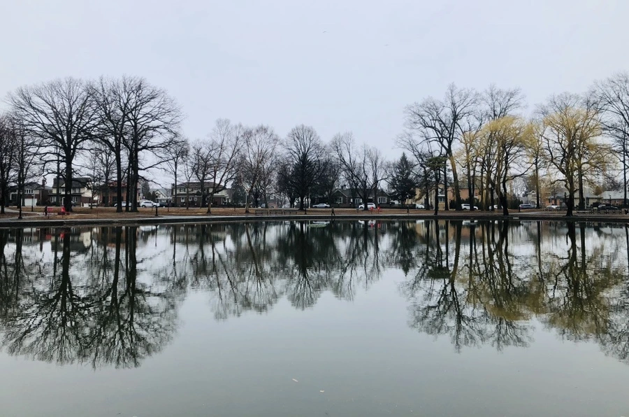 IMG_0025.jpg?type=w966