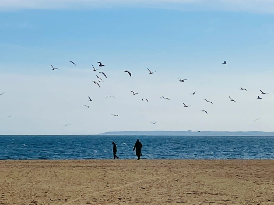 IMG_5029.jpg?type=w966