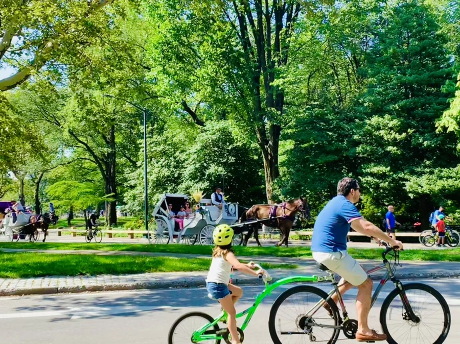 IMG_4524.jpg?type=w966