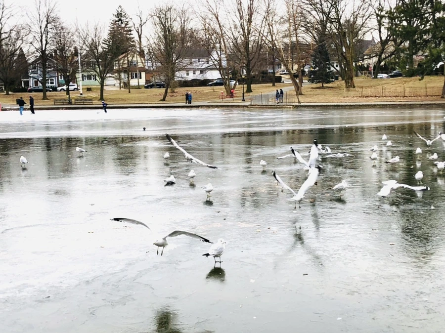 IMG_8245.jpg?type=w966