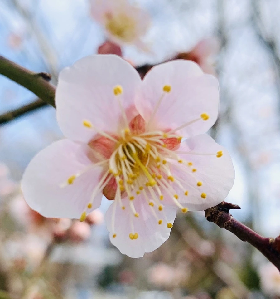 IMG_0471.jpg?type=w966