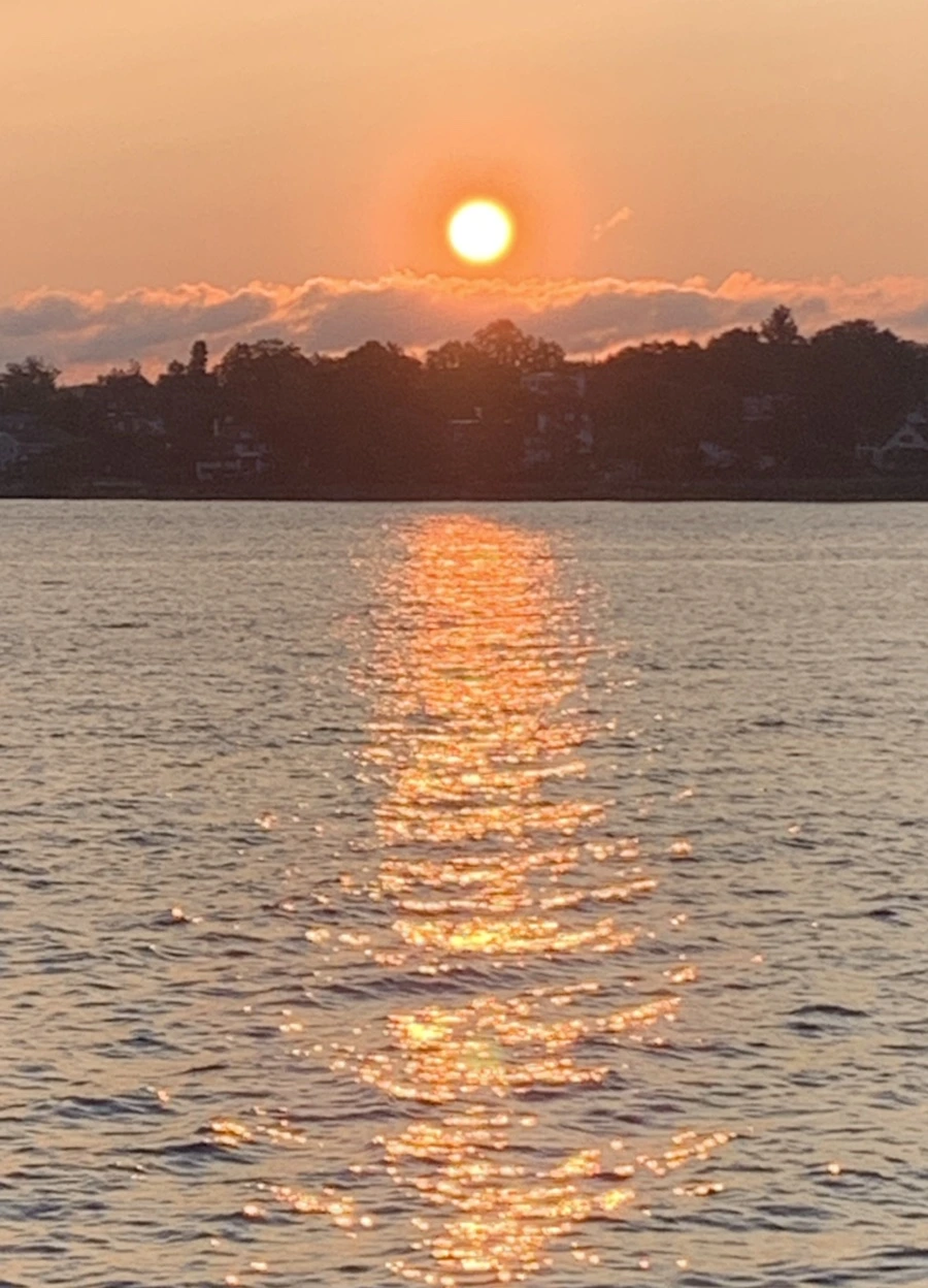 IMG_5496.jpg?type=w966