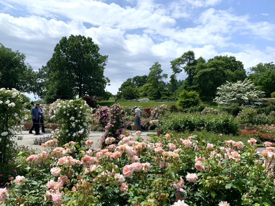 IMG_8471.jpg?type=w966