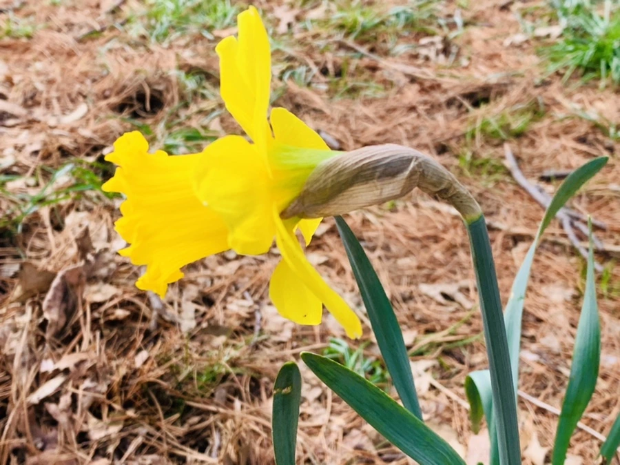 IMG_6358.jpg?type=w966