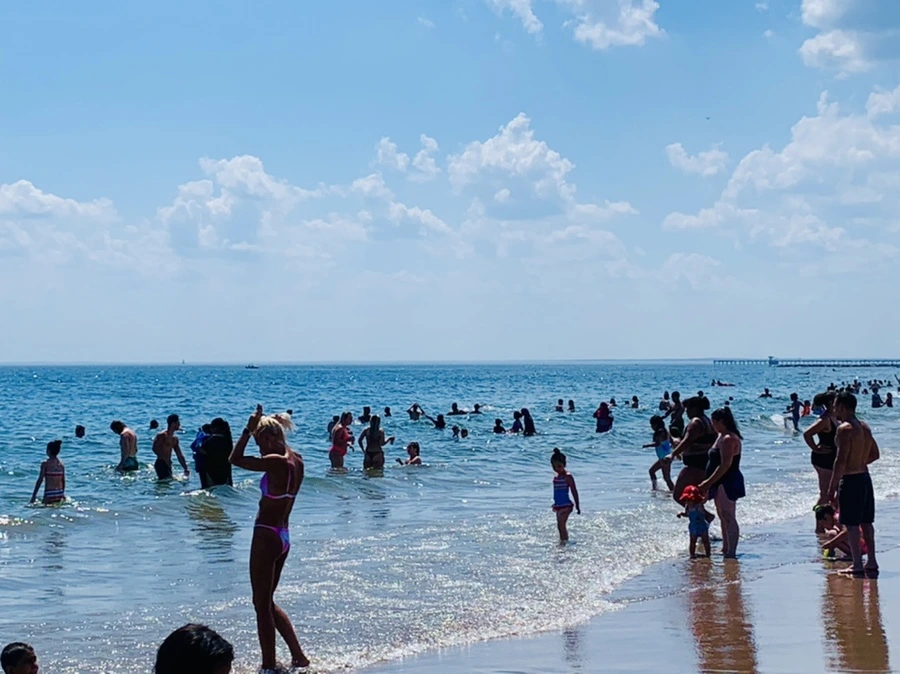 IMG_8806.jpg?type=w966