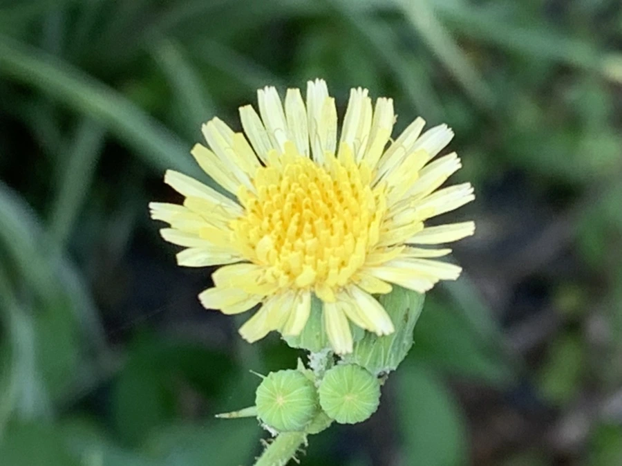 IMG_6034.jpg?type=w966