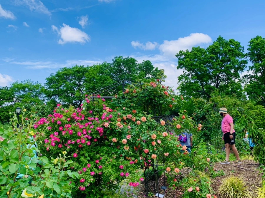 IMG_5828.jpg?type=w966