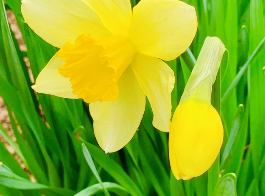 IMG_5894.jpg?type=w966