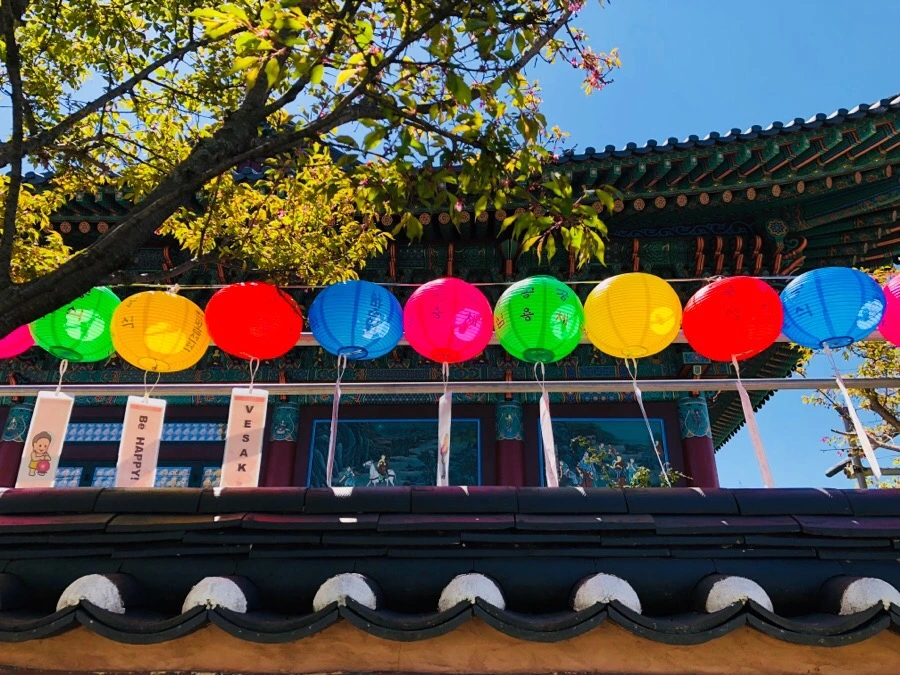 IMG_5249.jpg?type=w966