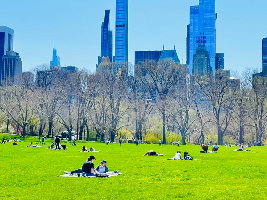 IMG_0651.jpg?type=w966