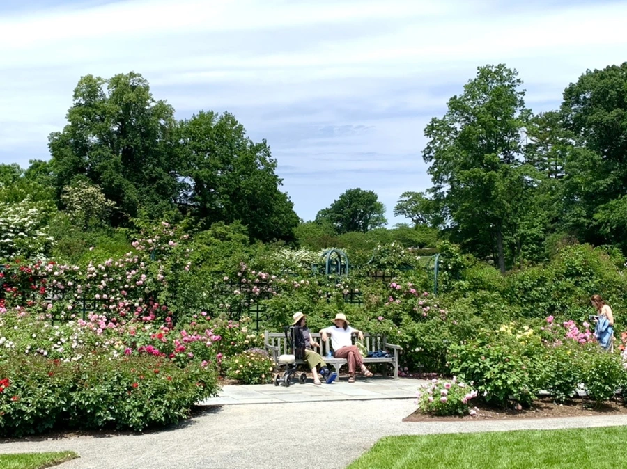 IMG_8473.jpg?type=w966