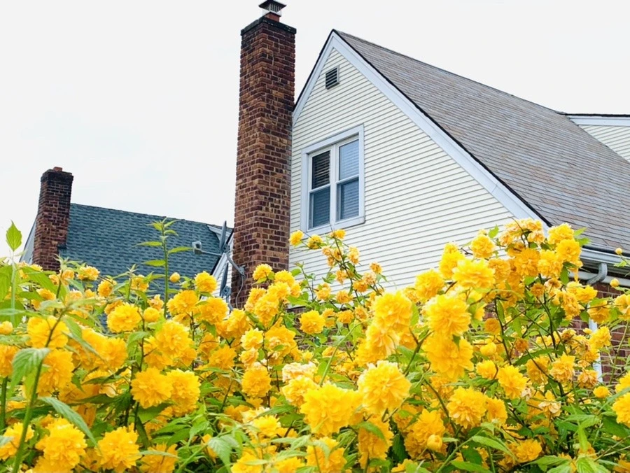 3tnee9yANTmA1UaNyckPgXtWZ5s