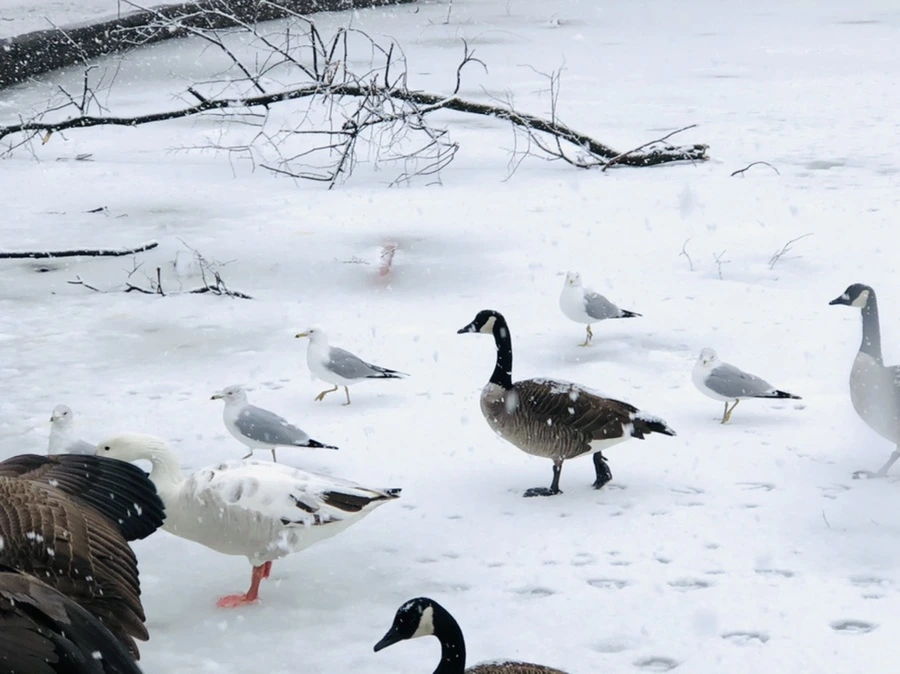 IMG_4174.jpg?type=w966