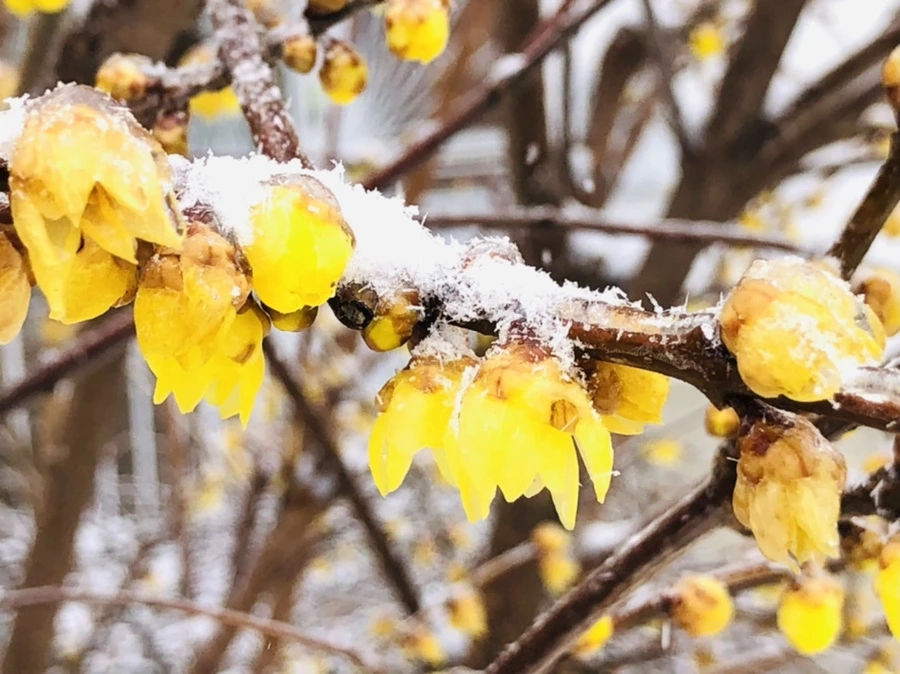 IMG_3505.jpg?type=w966