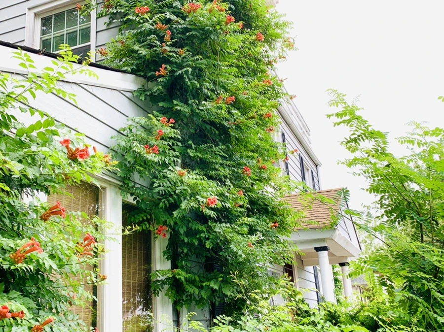 IMG_6945.jpg?type=w966