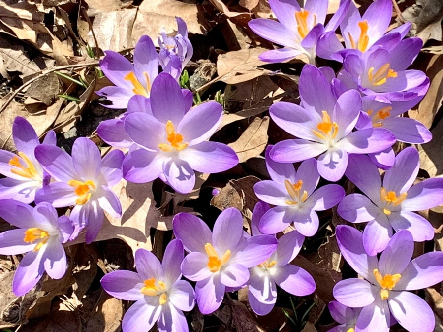 IMG_9790.jpg?type=w966