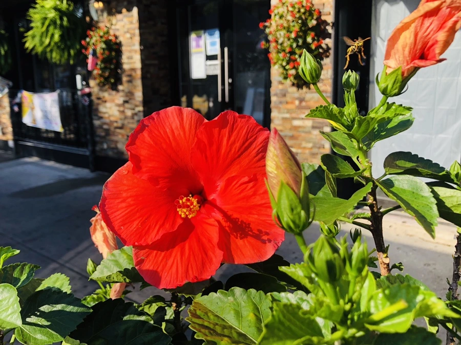 IMG_5045.jpg?type=w966