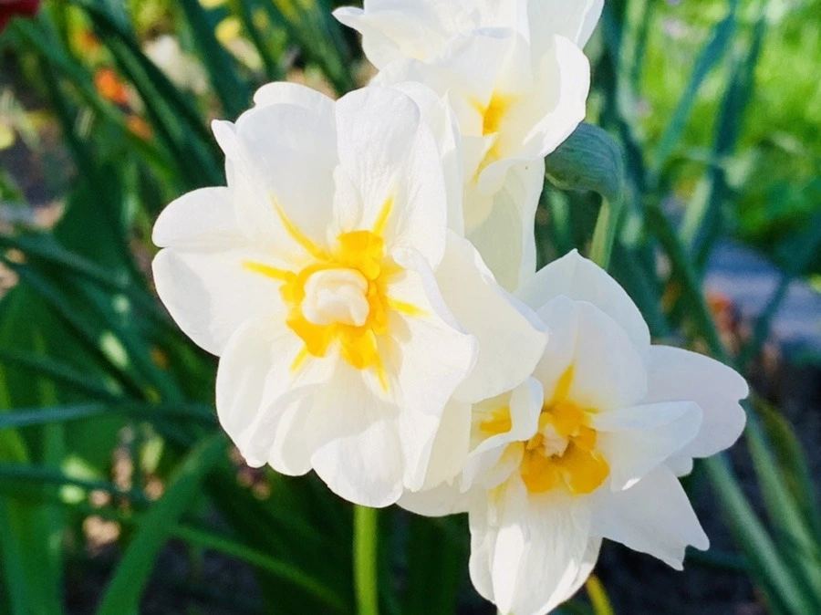 X1mK7OBgENIwlyOntXyTgDWd29c