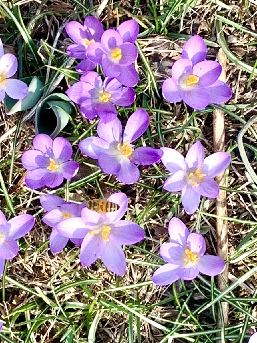 IMG_0219.jpg?type=w966