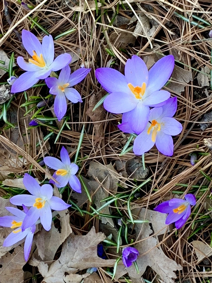 IMG_9739.jpg?type=w966