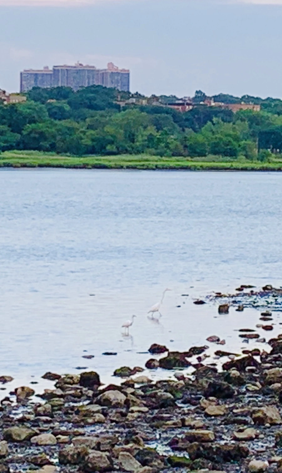 IMG_3013.jpg?type=w966