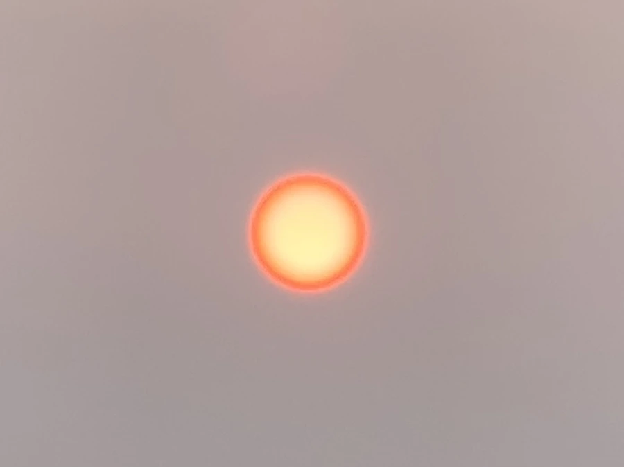 IMG_8054.jpg?type=w966