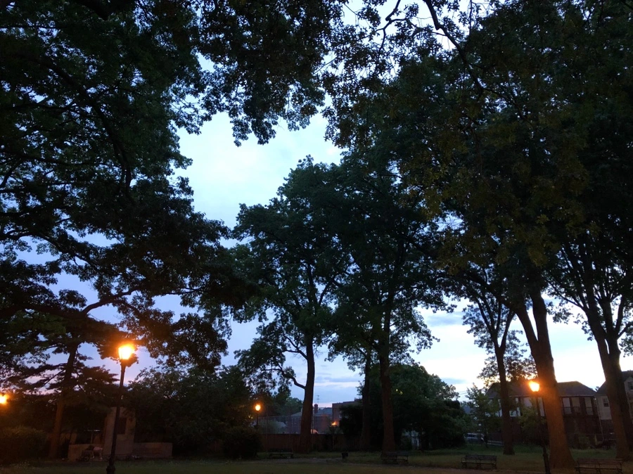 IMG_4278.jpg?type=w966