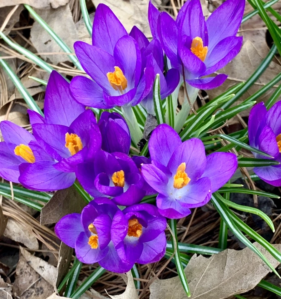 IMG_1264.jpg?type=w966