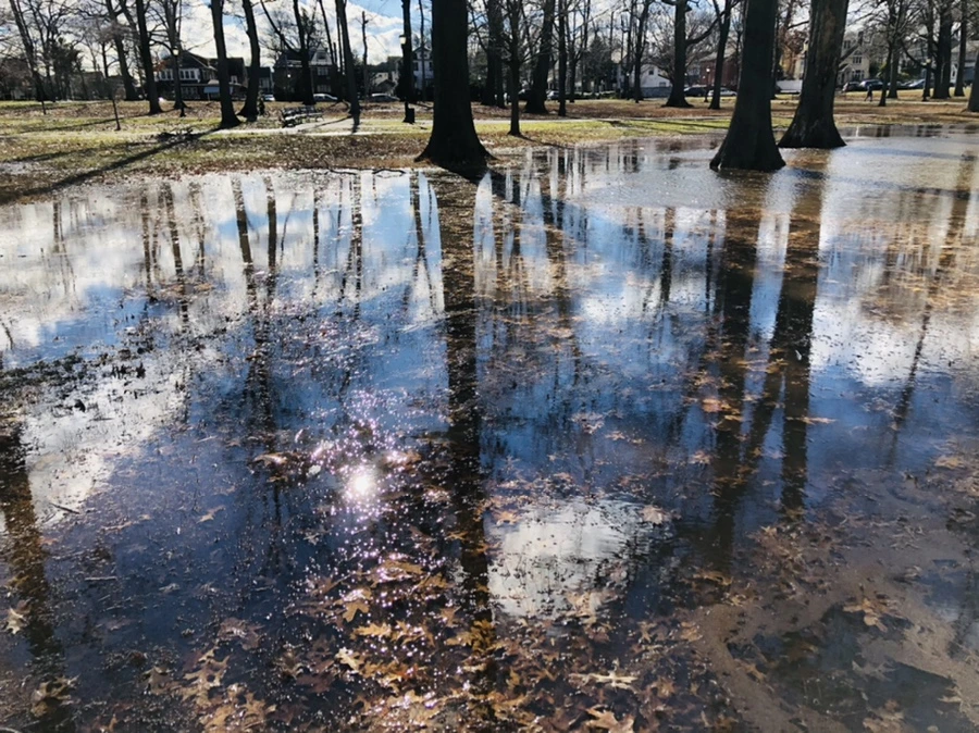 IMG_9218.jpg?type=w966