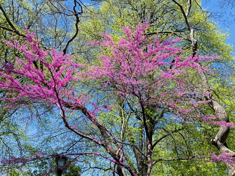 IMG_5722.jpg?type=w966