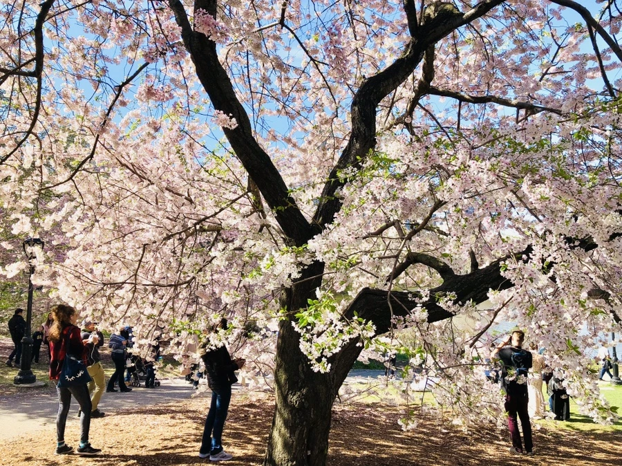 IMG_3139.jpg?type=w966