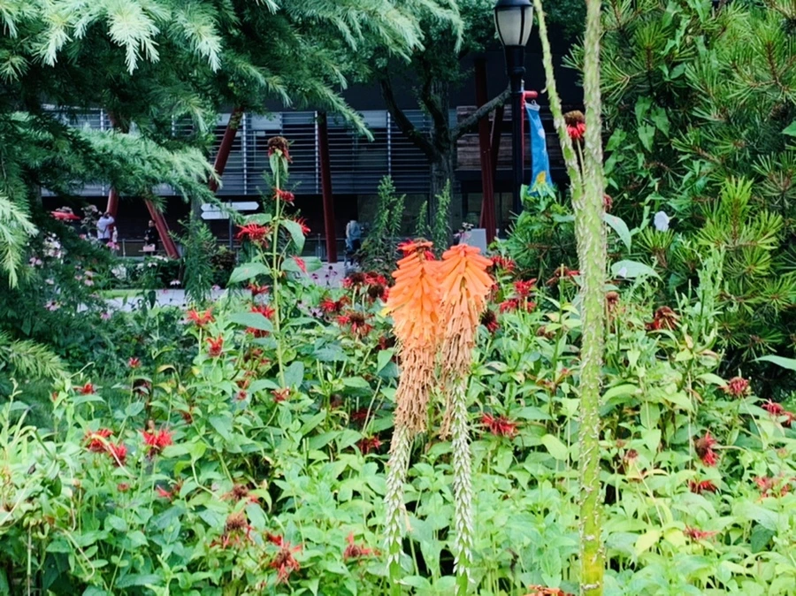 IMG_0990.jpg?type=w966