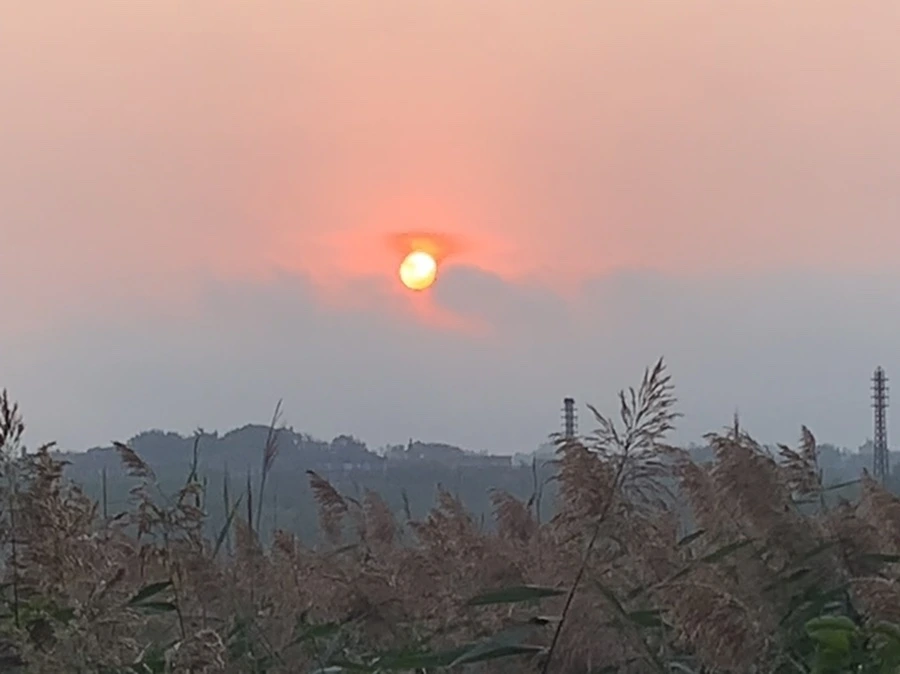 IMG_1123.jpg?type=w966