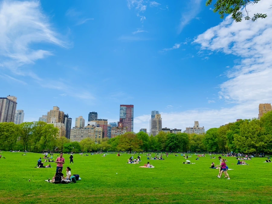 IMG_8783.jpg?type=w966