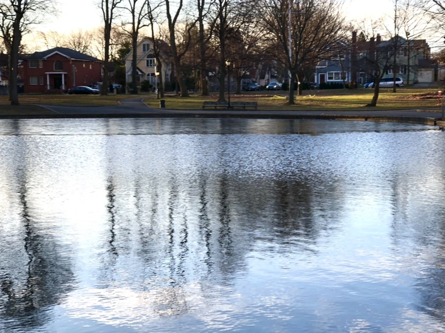 IMG_0915.jpg?type=w966