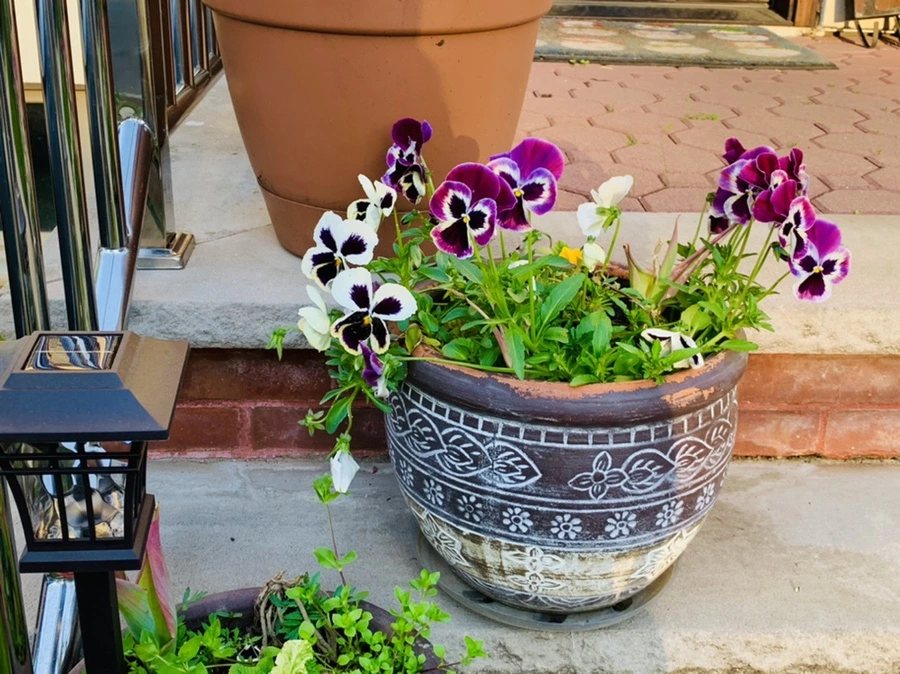 IMG_3261.jpg?type=w966